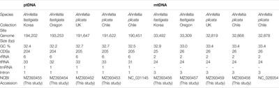 Organelle Genome Variation in the Red Algal Genus Ahnfeltia (Florideophyceae)